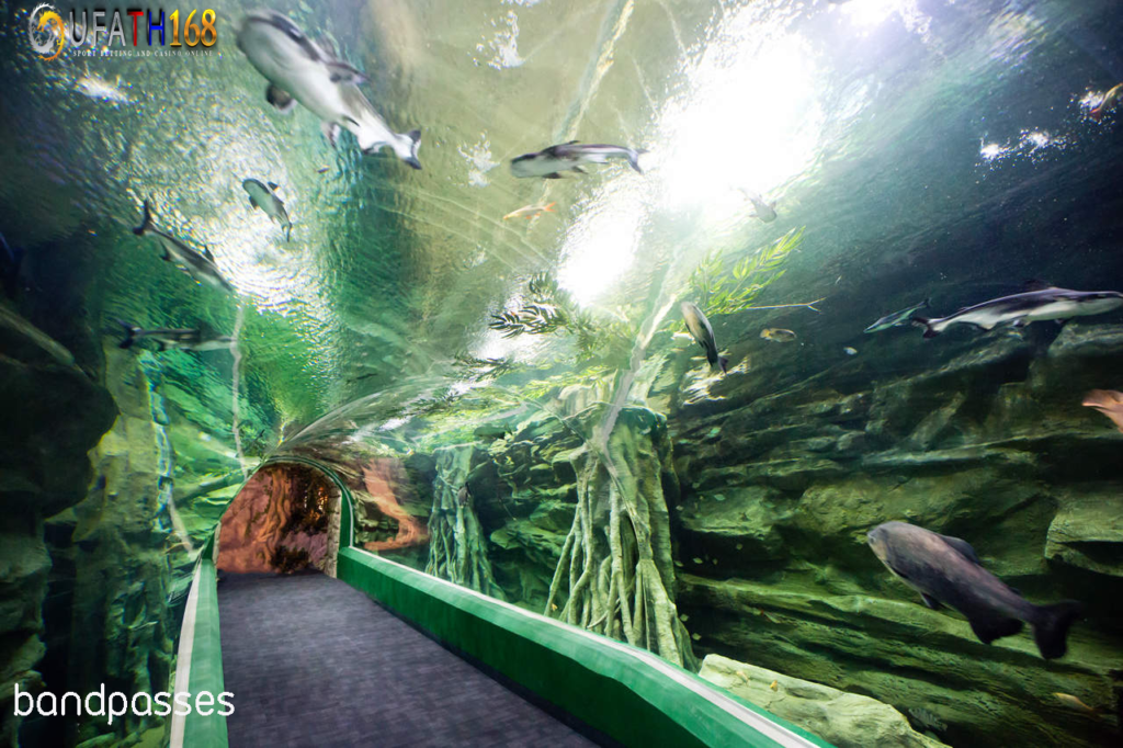 Lotte World Aquarium